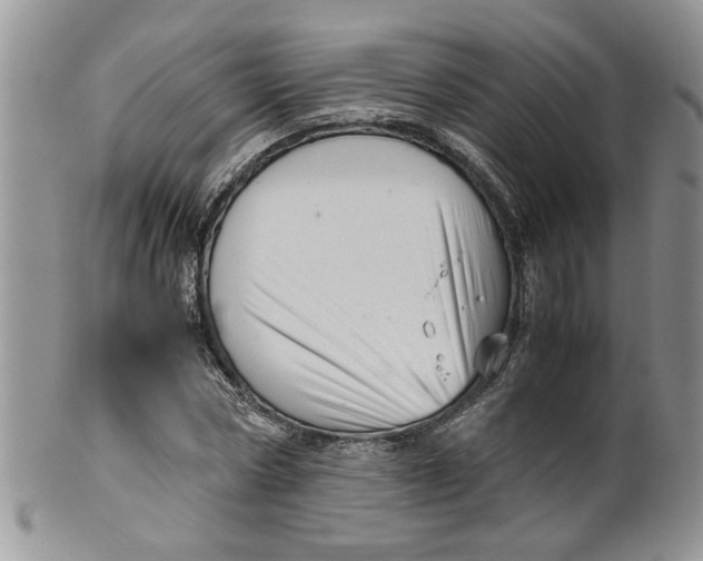 X0000099490778200806051058