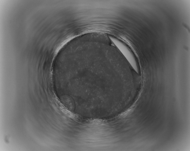 X0000099490779200806051058