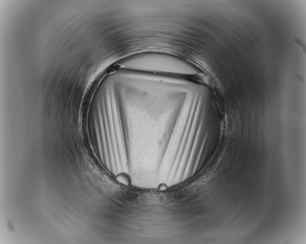 X0000099490780200806051058