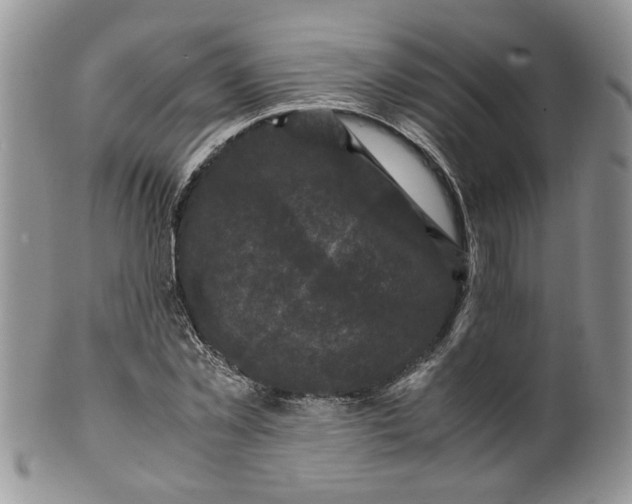 X0000099490781200806051058