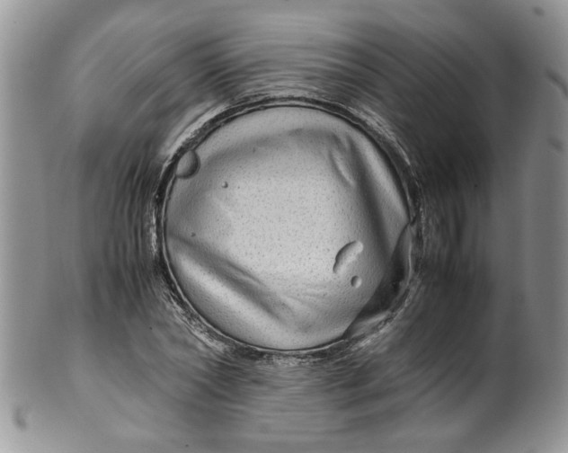 X0000099490782200806051058