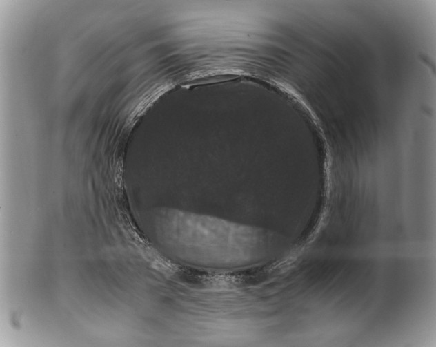 X0000099490785200806051057