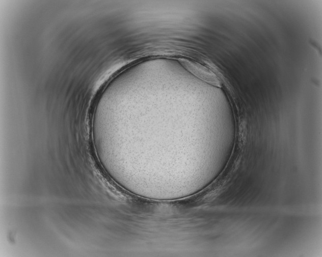 X0000099490787200806051057