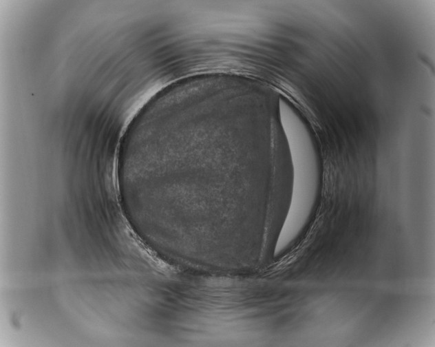 X0000099490788200806051057