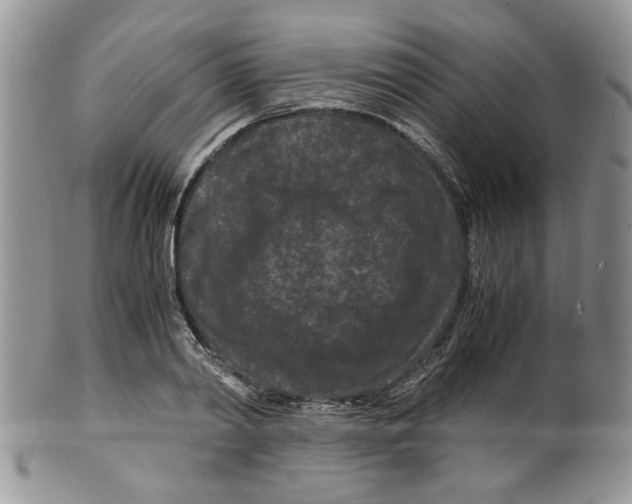 X0000099490790200806051057