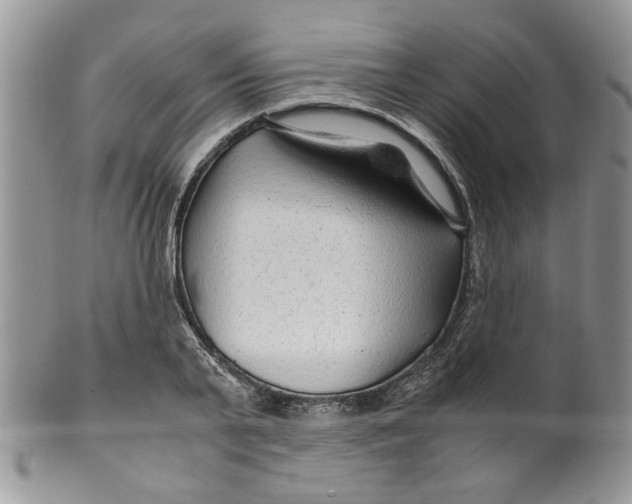 X0000099490791200806051057