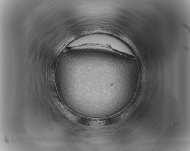 X0000099490793200806051057