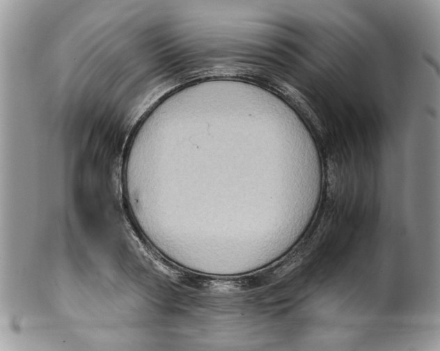 X0000099490794200806051057