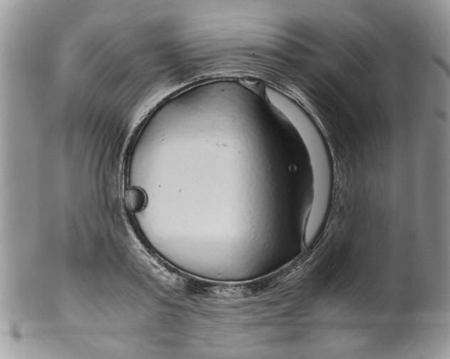 X0000099490795200806051057