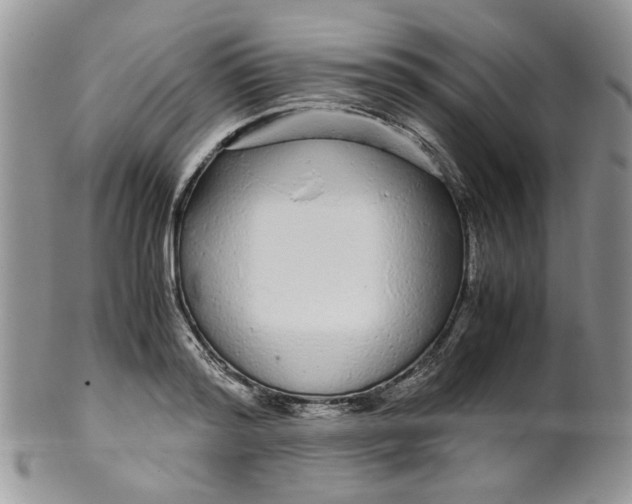 X0000099490796200806051057