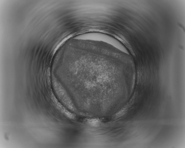 X0000099490798200806051057