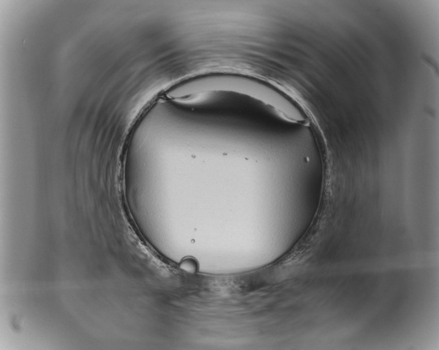 X0000099490799200806051057