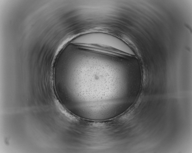 X0000099490800200806051057