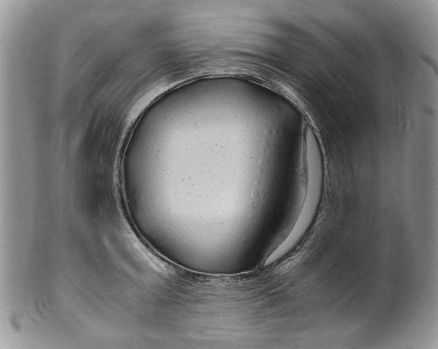 X0000099490803200806051057