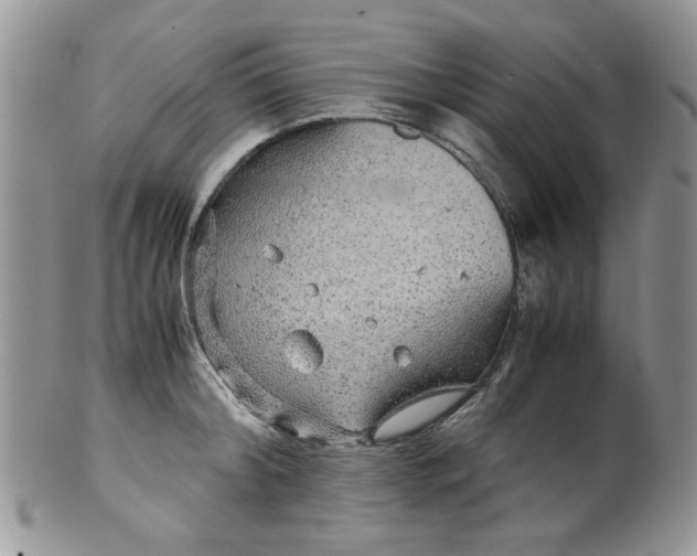 X0000099490804200806051057