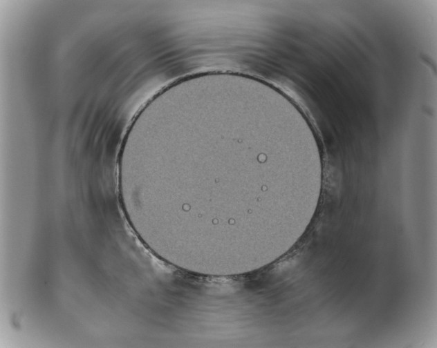 X0000099490807200806051057