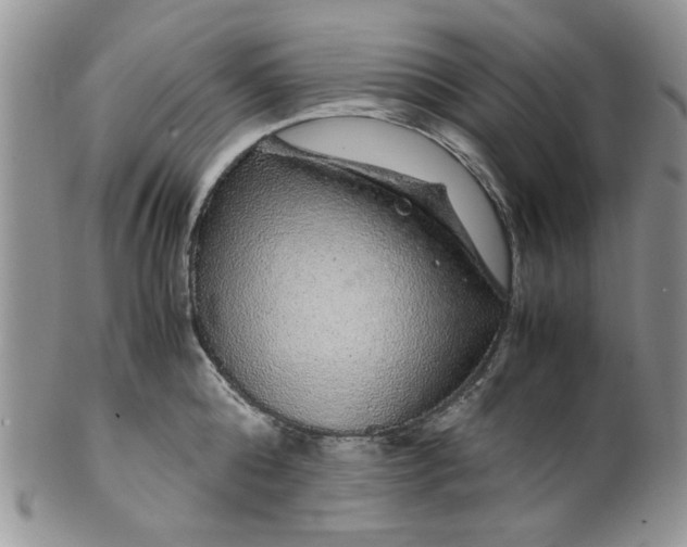 X0000099490808200806051057