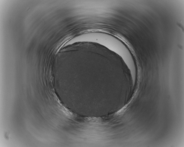 X0000099490809200806051057