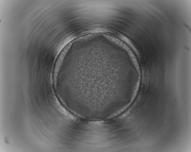 X0000099490810200806051057