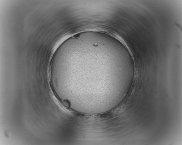 X0000099490811200806051057