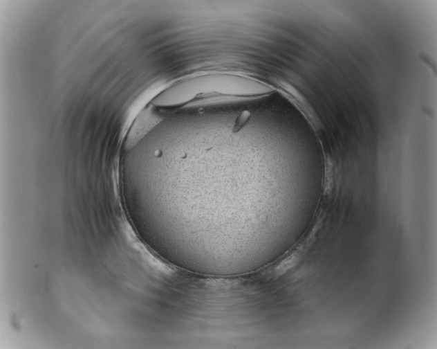 X0000099490812200806051057