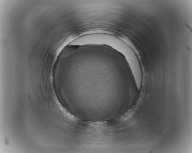 X0000099490813200806051057