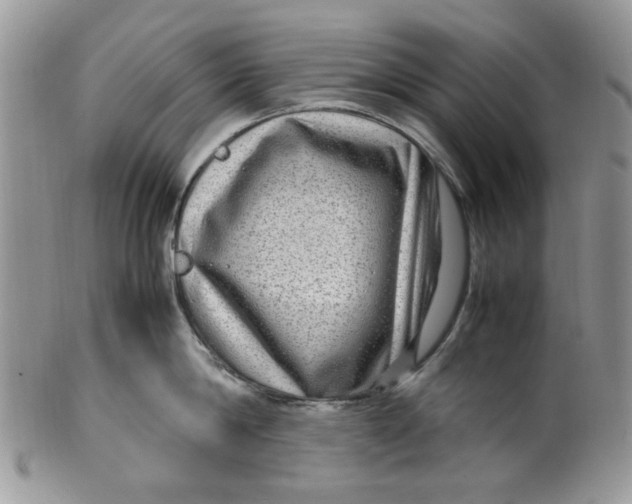 X0000099490814200806051057