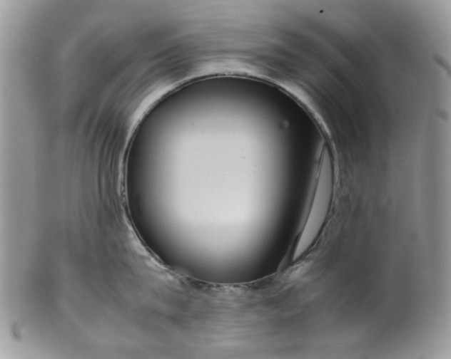 X0000099490815200806051057