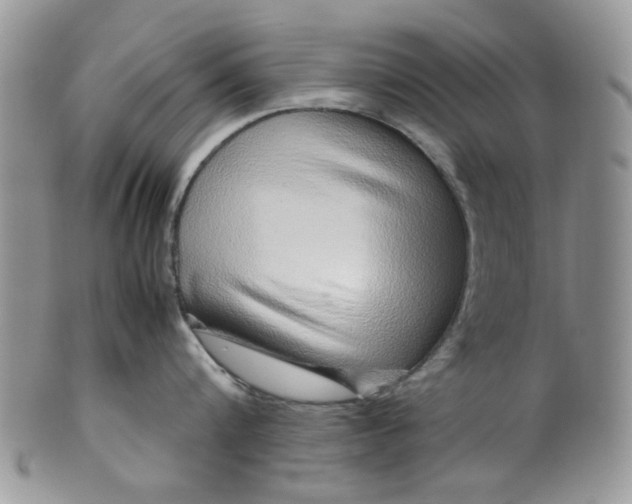 X0000099490816200806051057