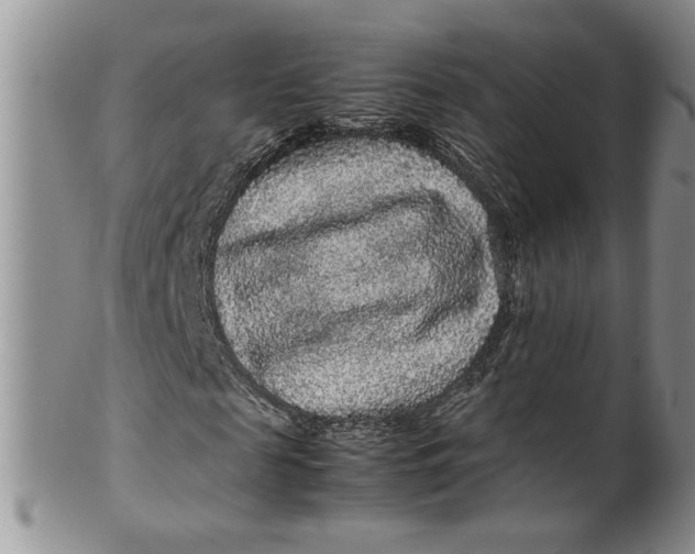 X0000099490817200806051056