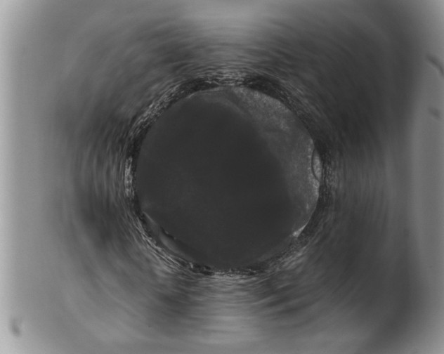 X0000099490818200806051056