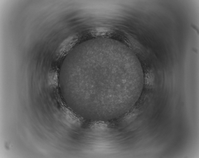 X0000099490820200806051056