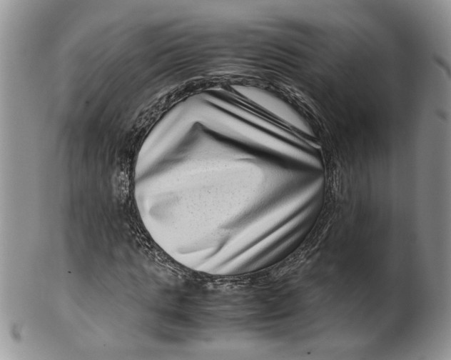 X0000099490821200806051056