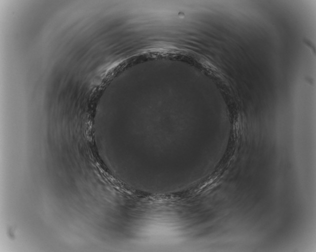 X0000099490822200806051056