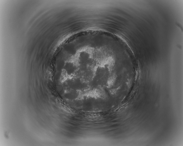 X0000099490823200806051056