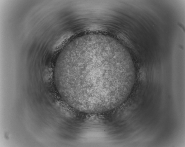 X0000099490824200806051056