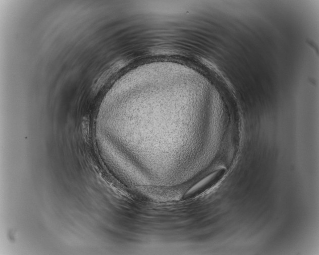 X0000099490825200806051056