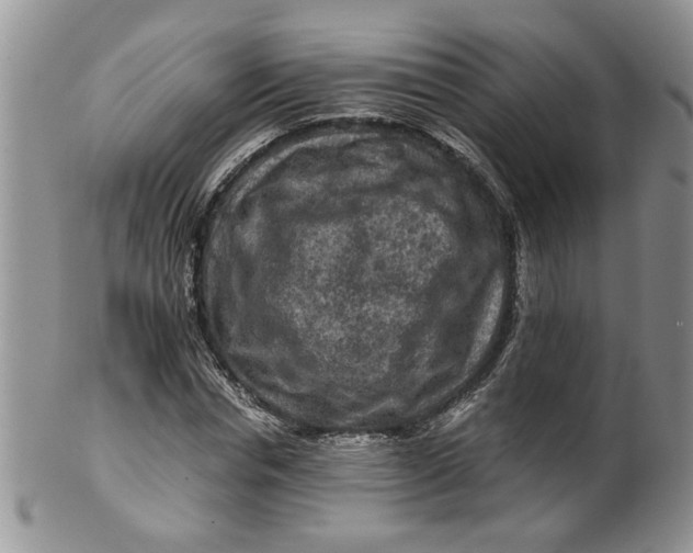 X0000099490826200806051056