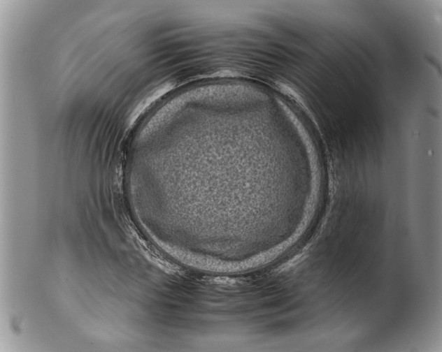 X0000099490827200806051056