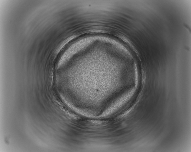 X0000099490829200806051056