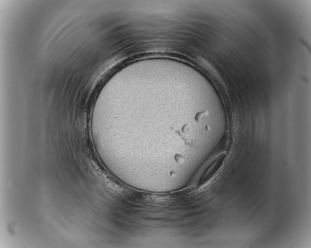 X0000099490831200806051056