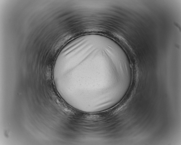 X0000099490833200806051056