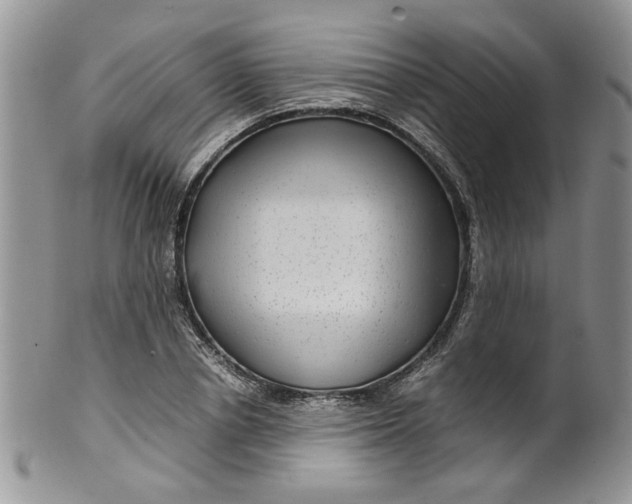 X0000099490834200806051056