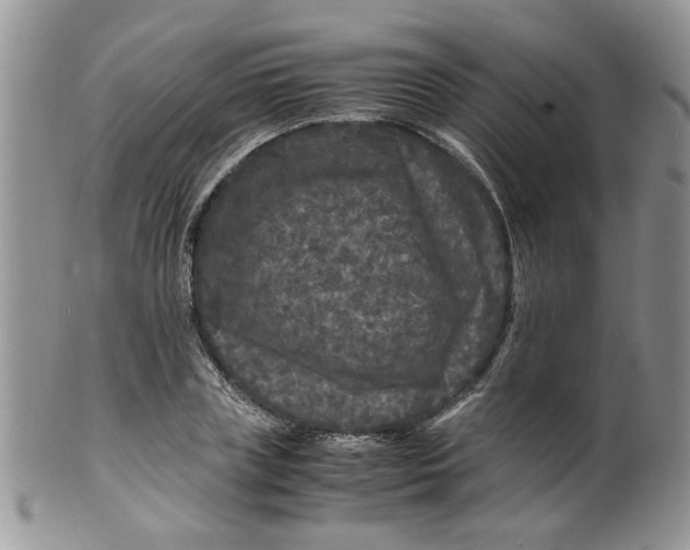 X0000099490835200806051056