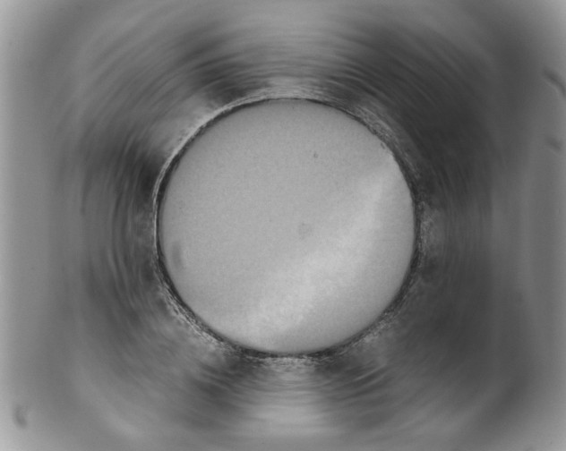 X0000099490836200806051056