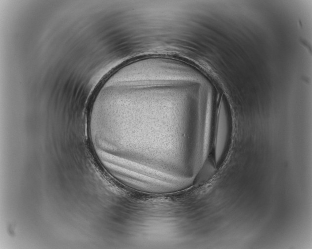 X0000099490838200806051056