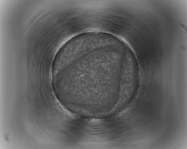 X0000099490839200806051056