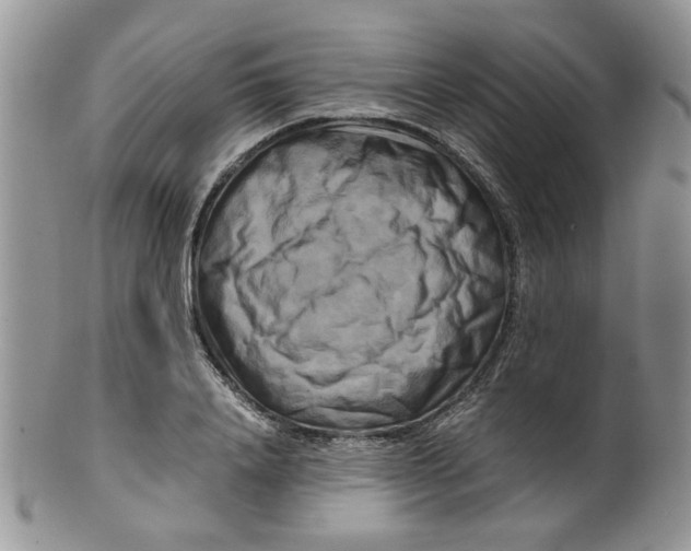 X0000099490840200806051056