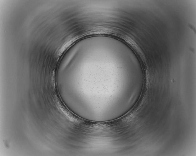 X0000099490842200806051057