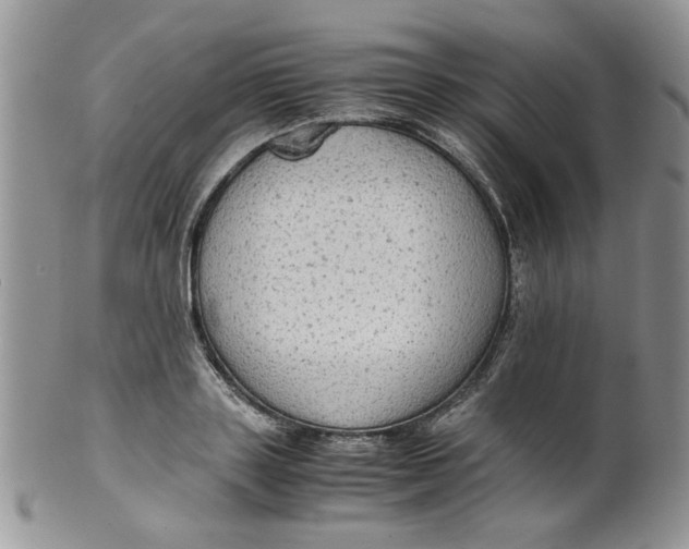 X0000099490843200806051057